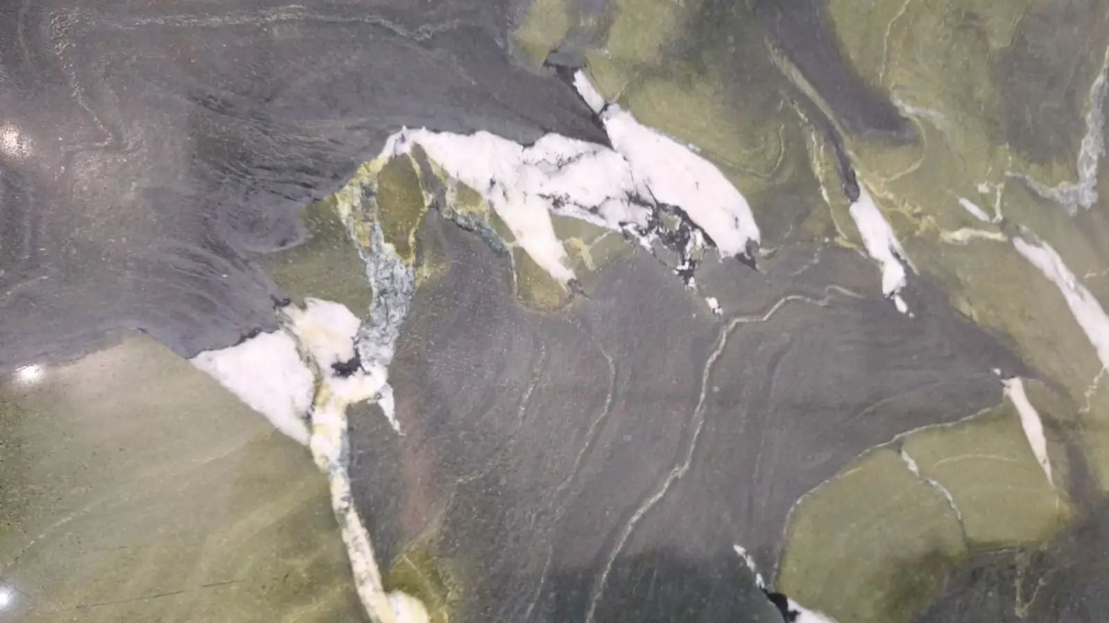 אבוקדו מבריק