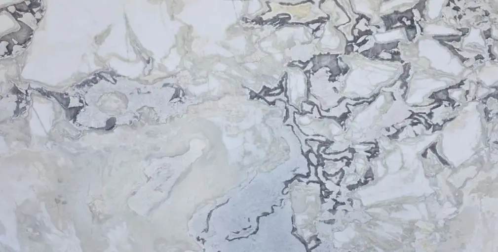 דובר וואיט לדר