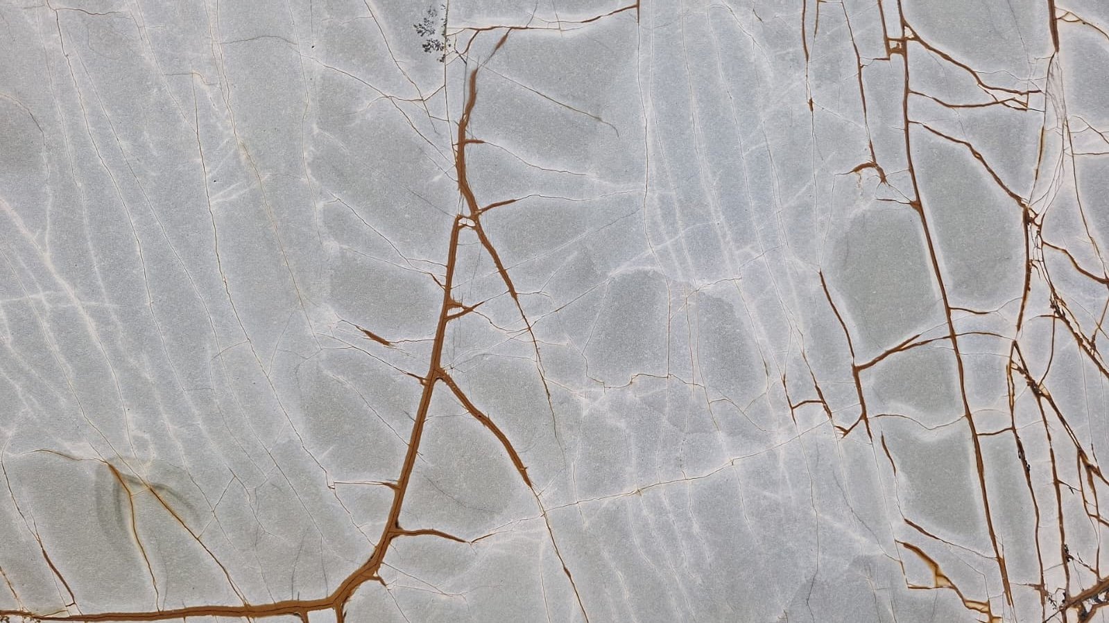 דיפ בלו לדר